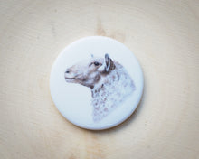 Laden Sie das Bild in den Galerie-Viewer, Magnete mit verschiedenen Motiven, für Kühlschrank usw.