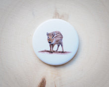 Laden Sie das Bild in den Galerie-Viewer, Magnete mit verschiedenen Motiven, für Kühlschrank usw.