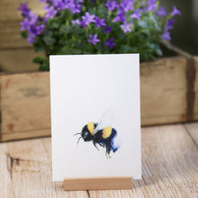 Laden Sie das Bild in den Galerie-Viewer, Kunstdruck / gedruckte Karte mit pummeliger Hummel auf feinstem Cotton-Papier