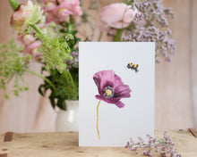 Laden Sie das Bild in den Galerie-Viewer, Kunstdruck / gedruckte Karte mit Hummel und lila Mohnblume auf feinstem Cotton-Papier