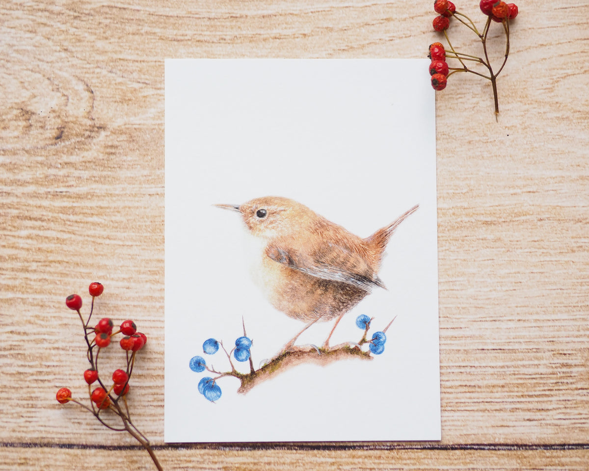 Kunstdruck / gedruckte Karte mit Zaunkönig und Beeren auf feinstem Cot ...