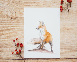 Kunstdruck / gedruckte Karte mit schönstem Fuchs auf feinstem Cotton-Papier