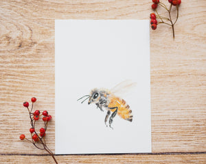 Kunstdruck / gedruckte Karte mit fleissiger Biene auf feinstem Cotton-Papier
