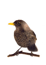 Laden Sie das Bild in den Galerie-Viewer, Bürotasse mit deinem Wunschmotiv
