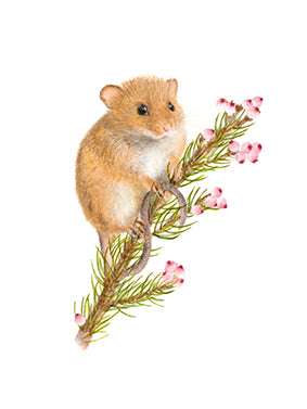 Bürotasse mit deinem Wunschmotiv