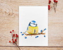 Laden Sie das Bild in den Galerie-Viewer, Postkarte mit Blaumeise
