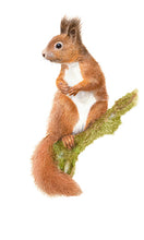 Laden Sie das Bild in den Galerie-Viewer, Bürotasse mit deinem Wunschmotiv
