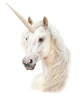 Laden Sie das Bild in den Galerie-Viewer, Bürotasse mit deinem Wunschmotiv
