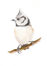 Laden Sie das Bild in den Galerie-Viewer, Bürotasse mit deinem Wunschmotiv
