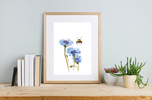 Kunstdruck "Kornblume und Hummelpo" in 20x30 cm auf feinstem Papier