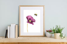 Laden Sie das Bild in den Galerie-Viewer, Kunstdruck &quot;Mohnblume und Hummel&quot; in 20x30 cm auf feinstem Papier
