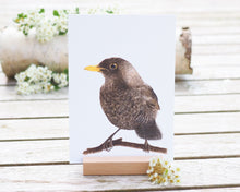 Laden Sie das Bild in den Galerie-Viewer, Kunstdruck / gedruckte Karte mit schönster Amsel auf feinstem Cotton-Papier
