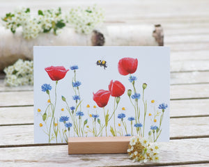 Kunstdruck / gedruckte Karte mit herrlicher Wiese auf feinstem Cotton-Papier