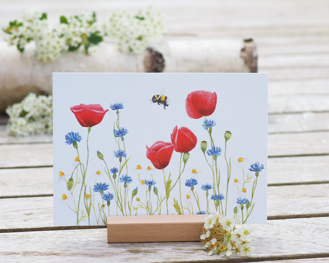 Kunstdruck / gedruckte Karte mit herrlicher Wiese auf feinstem Cotton-Papier