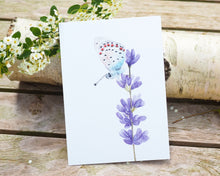Laden Sie das Bild in den Galerie-Viewer, Kunstdruck / gedruckte Karte mit Lavendel und Schmetterling auf feinstem Cotton-Papier
