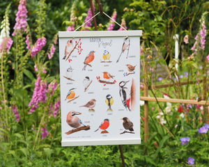 Kunstdruck/FineArt A3 "Unsere Gartenvögel" auf feinstem FineArt Papier