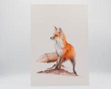 Laden Sie das Bild in den Galerie-Viewer, Kunstdruck &quot;Schlauer Fuchs&quot; in 20x28 cm auf feinstem Papier
