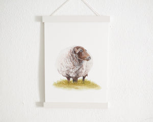 Kunstdruck "Gemütliches Schaf" in 20x28 cm auf feinstem Papier
