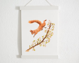 Kunstdruck "Springendes Eichhörnchen" in 20x28 cm auf feinstem Papier