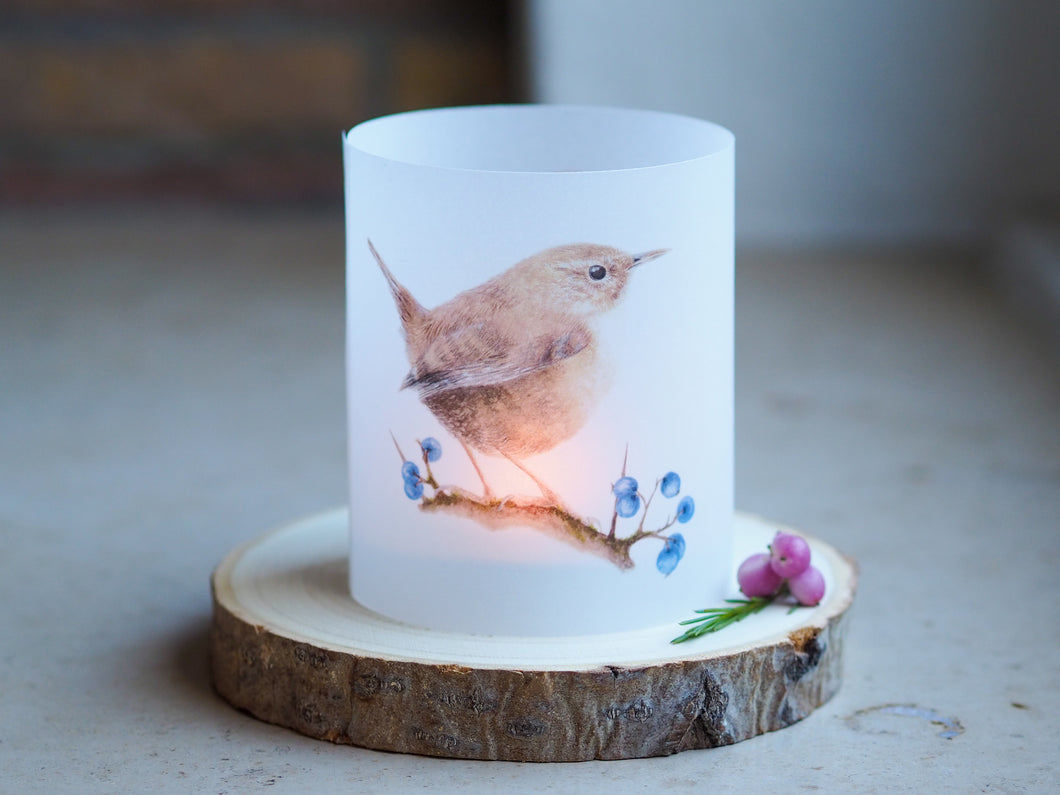 Windlicht / Teelichtpapier 