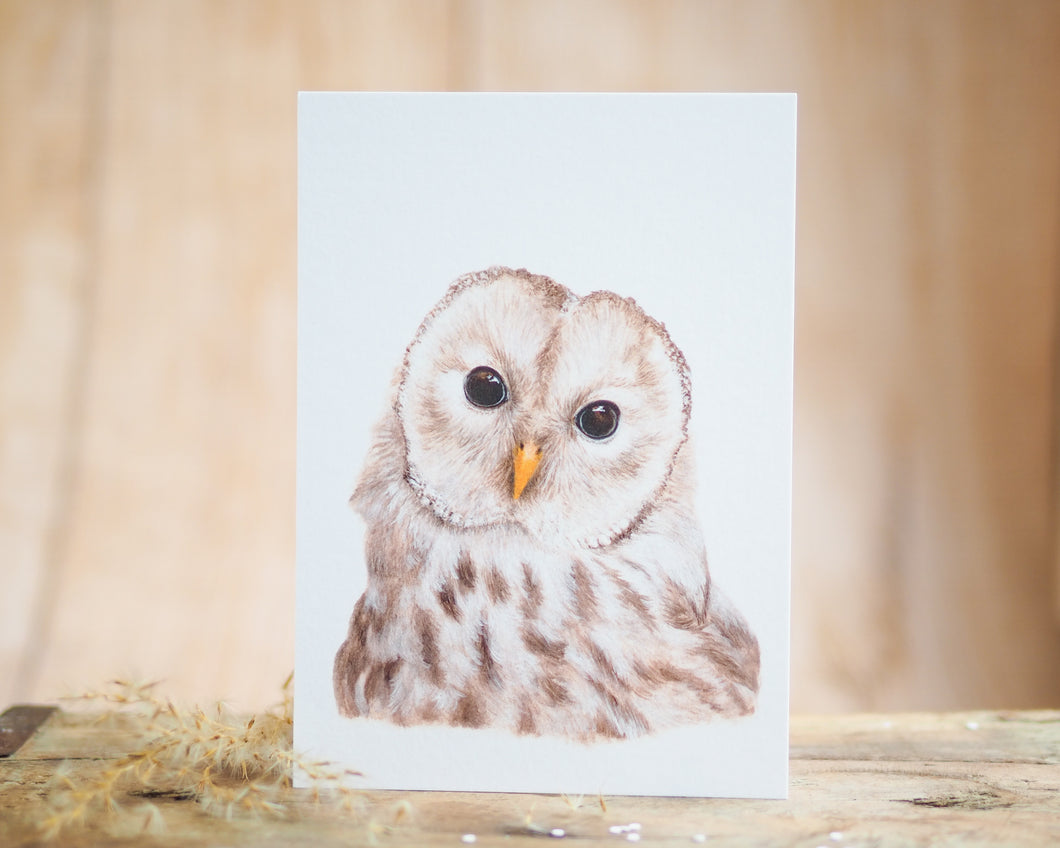 Kunstdruck / gedruckte Karte mit weiser Eule auf feinstem Cotton-Papier