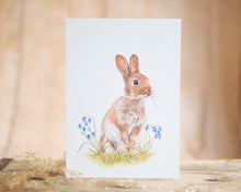 Laden Sie das Bild in den Galerie-Viewer, Kunstdruck / gedruckte Karte mit puscheligem Hasen im Gras auf feinstem Cotton-Papier
