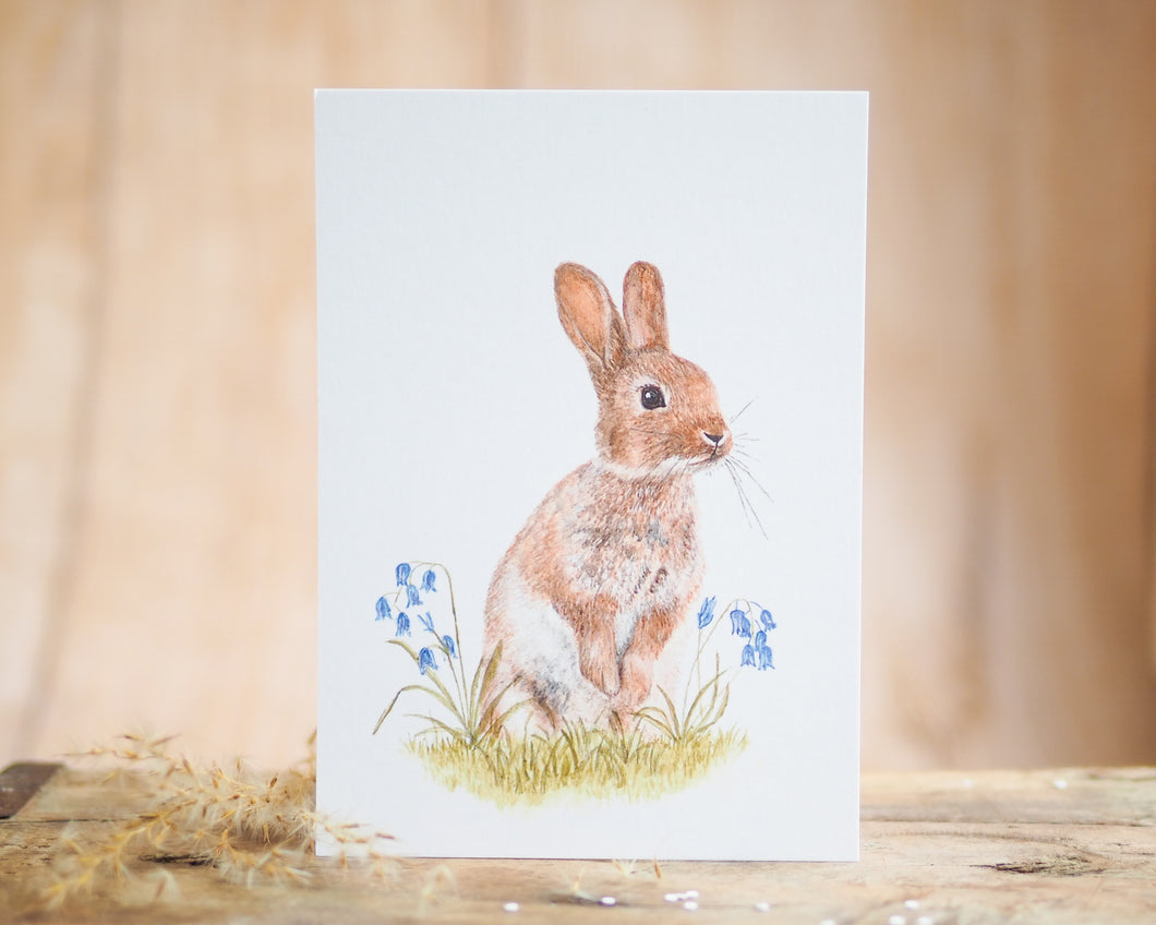 Kunstdruck / gedruckte Karte mit puscheligem Hasen im Gras auf feinstem Cotton-Papier