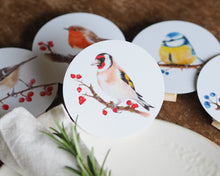 Laden Sie das Bild in den Galerie-Viewer, 5er Set Dekoclips &quot;Schönste Gartenvögel&quot;
