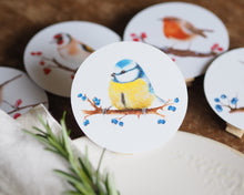Laden Sie das Bild in den Galerie-Viewer, 5er Set Dekoclips &quot;Schönste Gartenvögel&quot;
