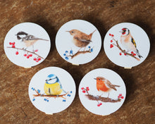 Laden Sie das Bild in den Galerie-Viewer, 5er Set Dekoclips &quot;Schönste Gartenvögel&quot;
