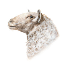 Laden Sie das Bild in den Galerie-Viewer, Bürotasse mit deinem Wunschmotiv
