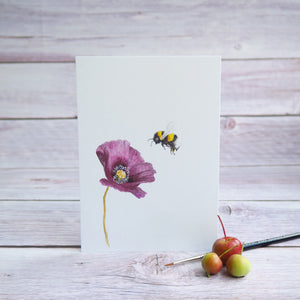 Kunstdruck / gedruckte Karte mit Hummel und lila Mohnblume auf feinstem Cotton-Papier