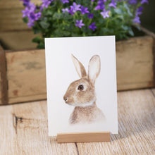 Laden Sie das Bild in den Galerie-Viewer, Kunstdruck / gedruckte Karte mit zierlichem Kaninchen auf feinstem Cotton-Papier

